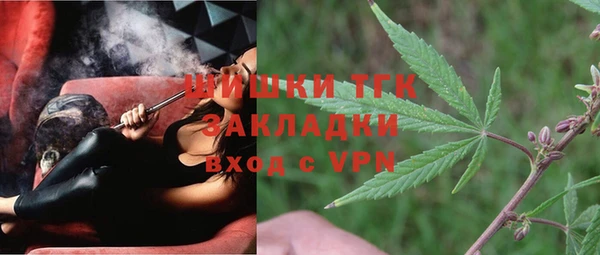 молекула духа Арсеньев