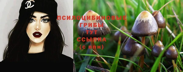 ПСИЛОЦИБИНОВЫЕ ГРИБЫ Балахна