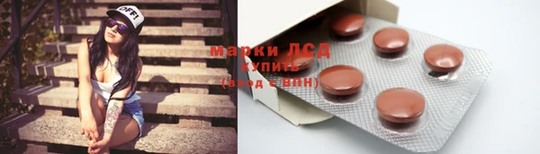молекула духа Арсеньев