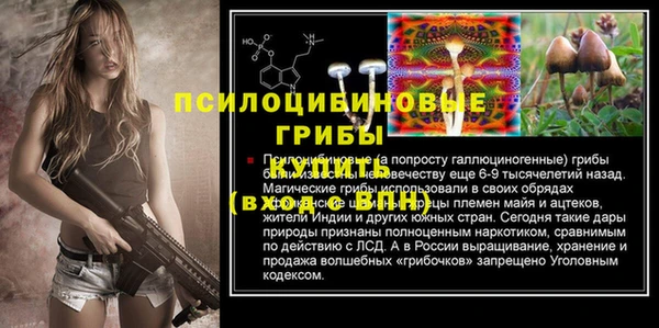 молекула духа Арсеньев