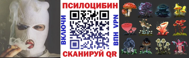Галлюциногенные грибы GOLDEN TEACHER  купить   Коломна 